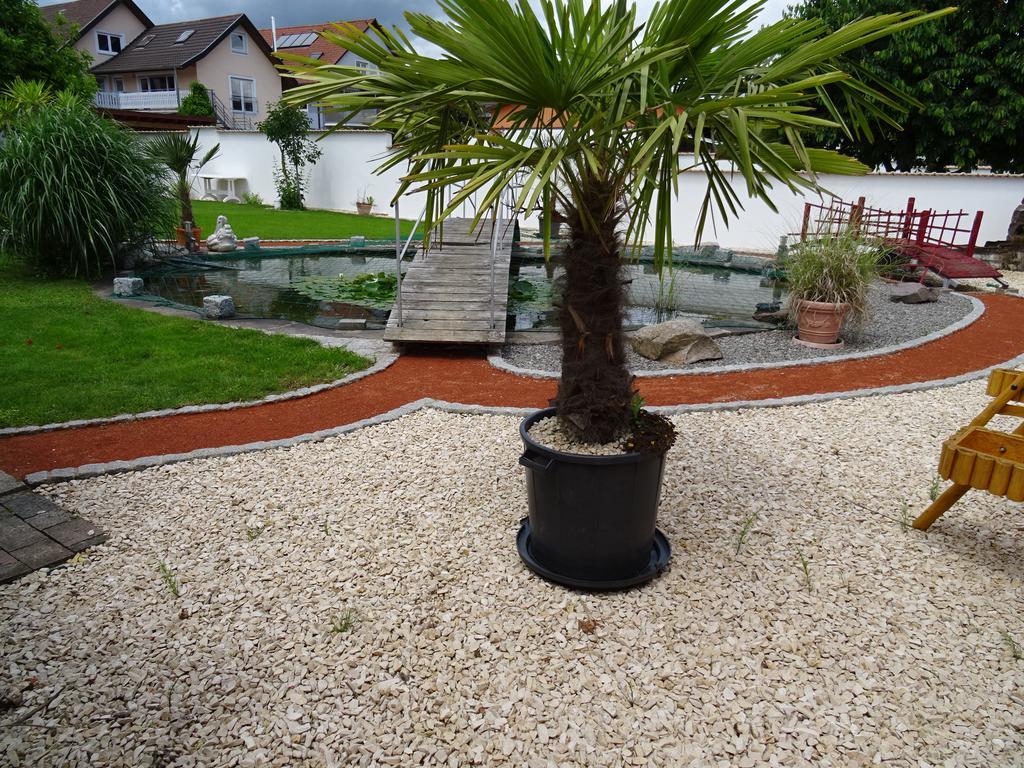 Apartment Euro As Kappel-Grafenhausen Exterior photo